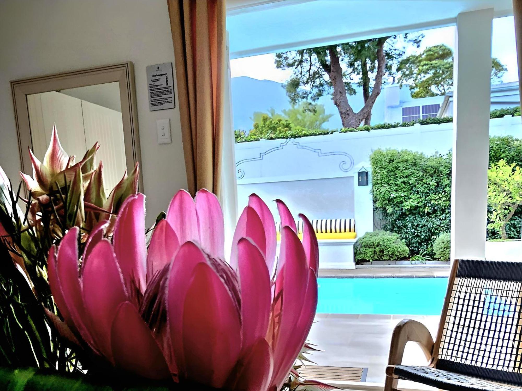 Fleur Du Soleil Luxury Guesthouse Franschhoek Exterior photo